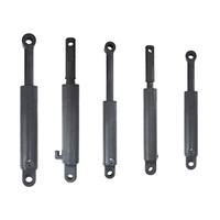 High Performance Truck Tailgate Hydraulic Single-Acting Ram Lifting Cylinder Hard Chrome Plated for Delivery Truck Taillift