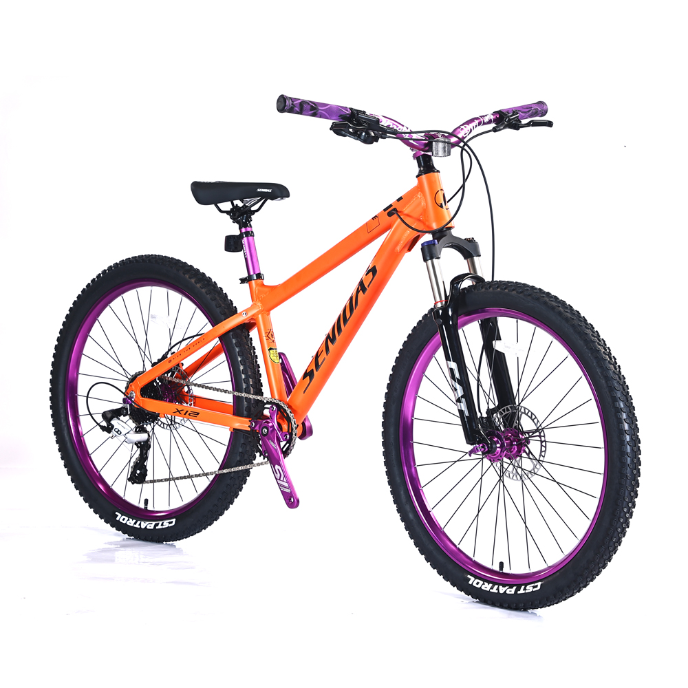 Downhill Bikes Ultimate Mountain Cycle Solutions