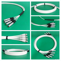 Câble répartiteur de 0,5 m pour PZT avec 1 connecteur mâle Lemo, se convertit en 2 connecteurs femelles Lemo.