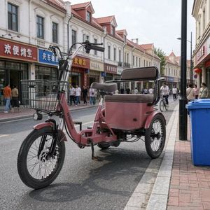 Batterie au lithium 48V 15Ah, tricycle électrique pliable à 3 roues, 18 pouces, 2 places, assistance au pédalage, moteur sans balais, 3 vitesses, frein à disque en acier - Product Image 5
