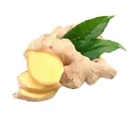 Prezzo di mercato della radice di zenzero fresco di ottima qualità-Bio Ginger cat 1-Cibo sano Nuovo raccolto pronto per l'esportazione-zenzero fresco