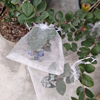 Sac de protection en filet personnalisé pour fruits, anti-insectes, anti-oiseaux, respirant, avec cordon de serrage, pour nèfles, raisins, pêches, myrtilles