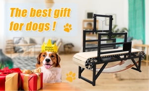 Machine de course de chien de livraison rapide, machine de marche de tapis roulant pour animaux de compagnie pour chien, slatmill de chien de <span class=keywords><strong>pit</strong></span>-<span class=keywords><strong>bull</strong></span> - Product Image 6