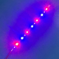 Bandes LED flexibles étanches 12V 24V 48V DC 12v/24v 10W à spectre complet