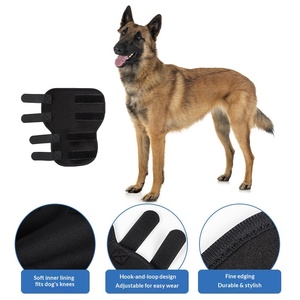Équipement de protection pour animaux de compagnie (chats et chiens) en matériau SBR – Protection des articulations fragiles, bandage pour fracture du genou, attelle de soutien post-opératoire pour la patte - Product Image 3