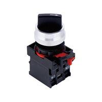 ELEWIND Commutateur à bouton-poussoir 2NO 22mm 3 positions (PB226-20X/31)