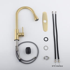 Grifo de cocina DB Pull Out Spraye - Product Image 4