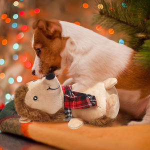 Juguetes de Peluche para Perros con Sonido, Personalizados al por Mayor, OEM y ODM, Material de Peluche, Juguetes Navideños para Perros, 2026 - Product Image 6