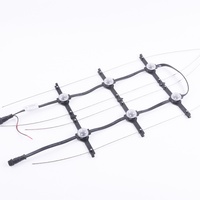 Pantalla LED de Cortina Transparente para Exteriores, Flexible y Suave, con Malla P100, Resistente al Agua IP67, 30 mm de Diámetro, Control DMX, Luces LED RGB