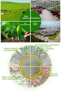 <span class=keywords><strong>Poudre</strong></span> naturelle de <span class=keywords><strong>zéolite</strong></span> de qualité alimentaire organique pour l'alimentation des volailles, des poissons et des crevettes - Product Image 6