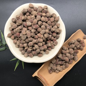 2210 Frutto di Rodomyrtus Tomentosa di Alta Qualità, <span class=keywords><strong>Rosa</strong></span> di Montagna, <span class=keywords><strong>Mirto</strong></span> <span class=keywords><strong>Rosa</strong></span> - Product Image 1