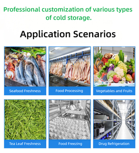Conteneur de stockage frigorifique à économie d'énergie, chambre froide et congélateur intégrés dans un conteneur, alimenté à l'énergie solaire, pour la conservation des aliments - Product Image 6
