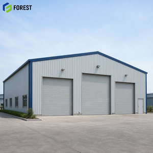 Almacén de Gran Superficie con Estructura de Acero Prediseñada, Centro de Almacenamiento de Materiales - Product Image 1