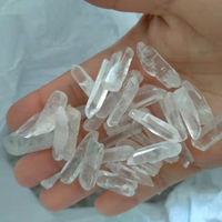 Petite graine naturelle de lémurien Quartz clair Point de cristal brut