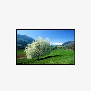 Máy Sưởi Tấm Tường Hồng Ngoại Với Chứng Nhận CE <span class=keywords><strong>TUV</strong></span> GS RoHS - Product Image 6