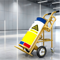 Chariot de transport industriel sécurisé pour bouteilles de gaz de soudage en acier avec support pour extincteur - Chariot pour réservoirs d'acétylène et d'azote 40L OEM