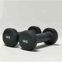 Mancuernas de colores personalizadas, equipo de fitness para uso doméstico, mancuernas moldeadas de cabeza plana pequeñas de hierro