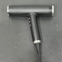 Sèche-cheveux professionnel personnalisé léger haute vitesse 110000 tr/min BLDC avec fonction inversée, pour salon, avec 1 diffuseur et 2 embouts