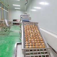 Nouvelle conception machine de traitement de la poudre d'oeufs entiers ligne de production d'œufs liquides machine de pasteurisation du jaune d'oeuf blanc