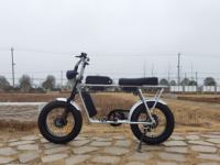 Vélo électrique à double moteur 750W, longue autonomie, cadre en alliage d'aluminium, batterie lithium 15Ah, freins à disque hydrauliques, selle longue, pneus larges 20 pouces