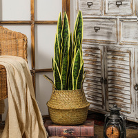 Künstliche Schlangen pflanze Weiche PE Faux Sansevieria Bonsai Große Kaktus Aloe Vera Pflanze Wohnkultur Zimmer pflanzen Landschafts bau Garten