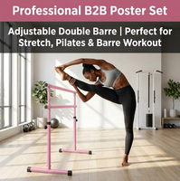 Barre de danse réglable en acier WDG-001, fabrication directe d'usine en Chine, barre de ballet double portable, 120x70x120cm, capacité de 5 à 10 kg