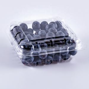 Emballage en plastique recyclé pour fruits <span class=keywords><strong>Lesui</strong></span> 125g, boîte transparente pour fruits, baies, myrtilles, conteneur à clapet avec trous - Product Image 1