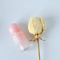 Großhandel Rosa Kosmetik Kundenspezifische Lipgloss-Tuben und Verpackungen mit Transparentem Applikator Großer Pinsel Individuelles Logo Lippenstift-Tube