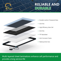 Panneau photovoltaïque à double vitrage BR SOLAR 530w 540w 550w, panneaux solaires monocristallins entièrement noirs pour système d'énergie photovoltaïque