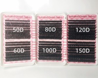 En gros, Clusters de cils individuels pré-coupés faits main DIY effet éventail, 9-16mm, Marque privée, Kit en livre avec pointes LASHES