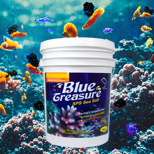 Groothandel Blauwe Schat Octagonale Aquarium Mariene SPS Pro Koralenrif Zout Roestvrij Staal Ecologisch Vis 1.5L Binnen/Buiten - Product Image 3