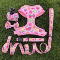 Accessoires pour animaux de compagnie, imprimé personnalisé, nœud papillon pour chien, chiot, nœud papillon coloré, Durable, mobile, chat, chien, nœud papillon pour collier de chien