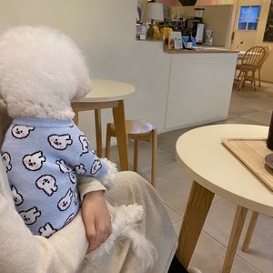 Cappotto Imbottito di Lusso con Motivo a Coniglio per Cuccioli, Maglione per Cani di Piccola Taglia, Design con Coniglio per Animali Domestici - Product Image 2