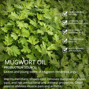 Aceites esenciales de Artemisa, uso de piel pura orgánica, suministro OEM para hacer bacteriostatos - Product Image 3