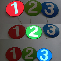 Panel de Identificación Digital Electroluminiscente Flexible de Alto Brillo con Efecto de Animación de Iluminación EL para Automóvil
