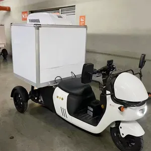 AC DC Ice Cream Box Delivery Refrigerator Tricycle Refrigerated Cargo Tricycle