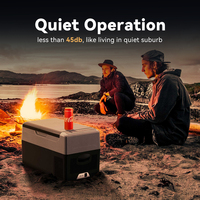 Glacière ALPICOOL pour les vacances, petite glacière à compresseur G22, portable, mini SUV, camion, réfrigérateur de voiture, 22L