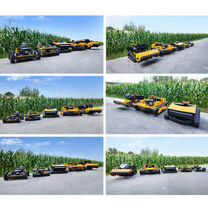 Mới Đến Cắt Chiều Rộng 800Mm 1000Mm Điều Khiển Từ Xa Crawler Bàn Chải Cắt Cỏ <span class=keywords><strong>Mini</strong></span> <span class=keywords><strong>Robot</strong></span> Flail Máy Cắt Cỏ - Product Image 6