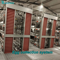 Cage à poulets en batterie entièrement automatique, haute capacité, structure durable, cage à poules pondeuses de type H, équipement d'élevage avicole