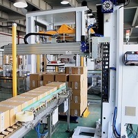 Machine de palettisation de cartons LWT à grande vitesse et faible coût pour l'alimentation et le tabac, automatique, à colonne unique, de haute précision, pour la manutention de caisses, électrique