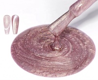Fournisseur d'ongles OEM Vernis à ongles personnalisé UV Gel Ket Private Label Cat Eye Gel Vernis à ongles 3D