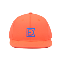 Casquette Snapback à visière plate personnalisée avec logo, style streetwear, casquette Snapback 6 panneaux, casquette de baseball imperméable, casquettes de sport pour hommes