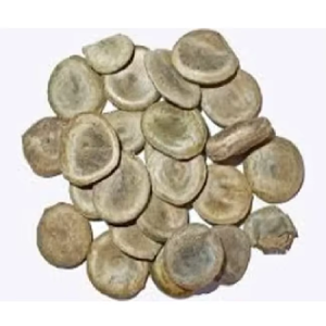 Semillas de Kuchla de la Mejor Calidad, Cultivo Silvestre, Extracto de Planta Seca - Product Image 1