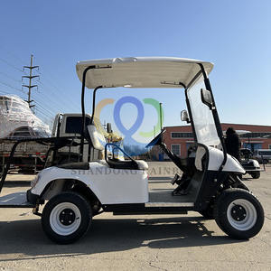 Fabrika doğrudan satış opsiyonel renk kulübü araba hızlı tek kişilik yetişkinler için <span class=keywords><strong>2</strong></span> Mini koltuk elektrikli Golf arabaları - Product Image 3
