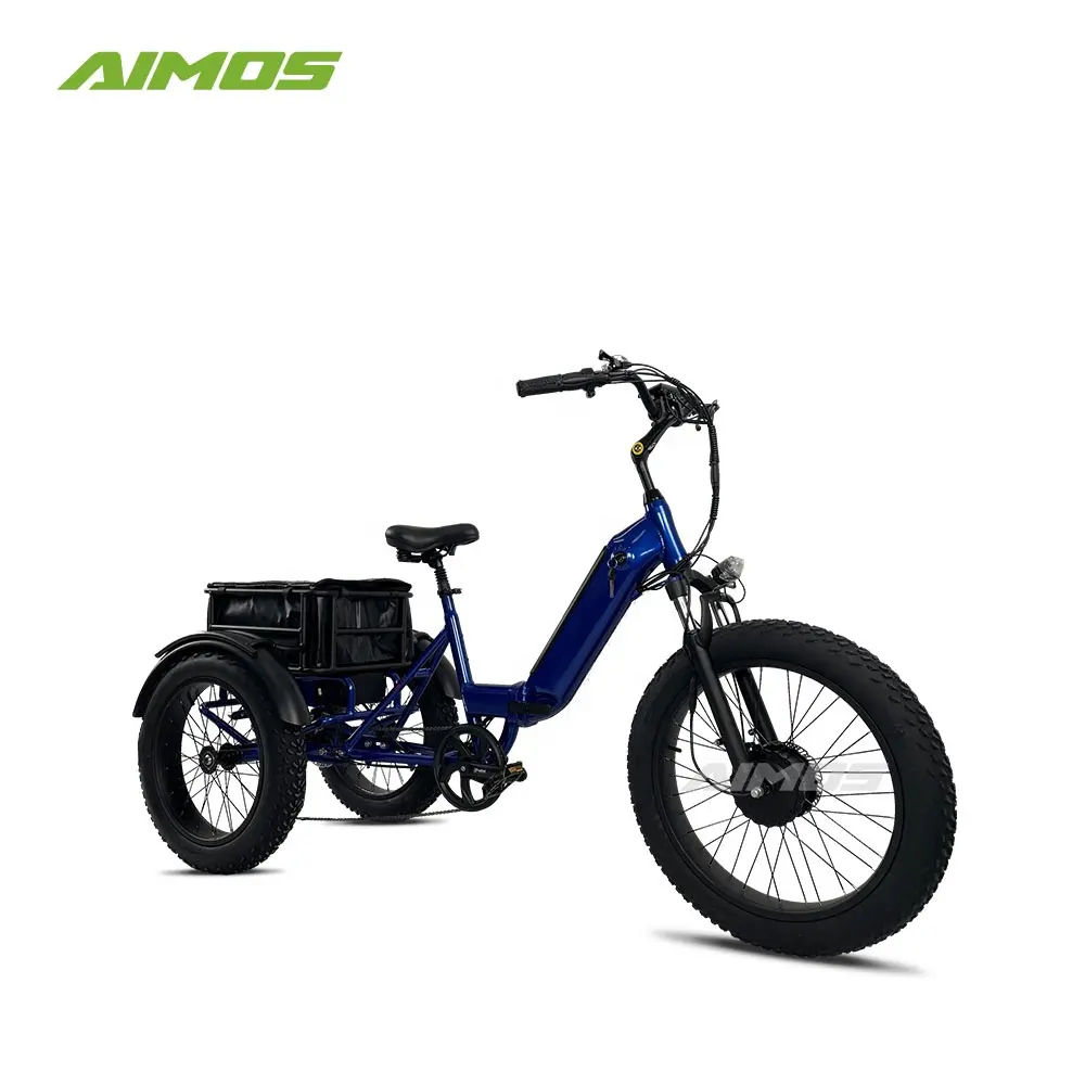 Bici elettrica del carico del motorino del triciclo elettrico, automobile elettrica di svago del triciclo 1000W, tricicli elettrici del carico del triciclo adulto
