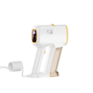 Fer à vapeur portatif 2 en 1 avec écran numérique pour usage domestique - Product Image 3