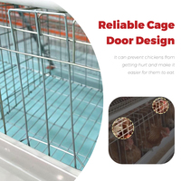 Cage à poules pondeuses de type A à 3 niveaux et 4 portes pour l'élevage avicole – Offre spéciale pour la ferme
