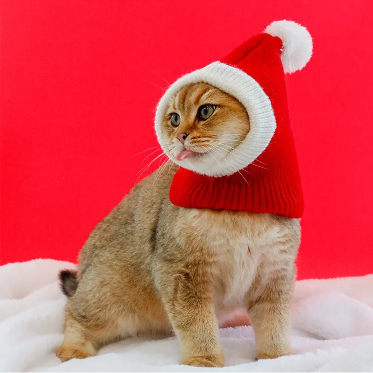 Vêtements pour animaux de compagnie de haute qualité rouge vert chaud hiver tricoté chat chapeaux chien chapeau de noël