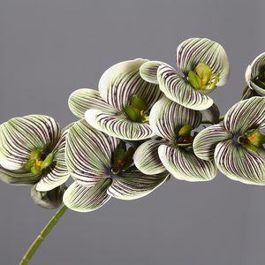 Orquídeas Artificiales <span class=keywords><strong>de</strong></span> Látex con Tacto Real, Color Otoñal, Orquídeas Mariposa, <span class=keywords><strong>Flores</strong></span> Artificiales para Decoración <span class=keywords><strong>de</strong></span> Hogar, Fiestas, Bodas y Manualidades - Product Image 6