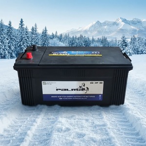 Nouvelle Batterie Palma 12V 200Ah BCI 8D MF avec Garantie de 14-18 Mois pour Voiture, Camion, Utilisation Marine - Product Image 1